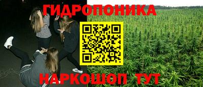 каннабис Краснокаменск