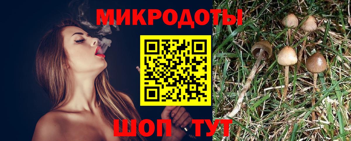 Галлюциногенные грибы мицелий  Вход с VPN  Карталы 