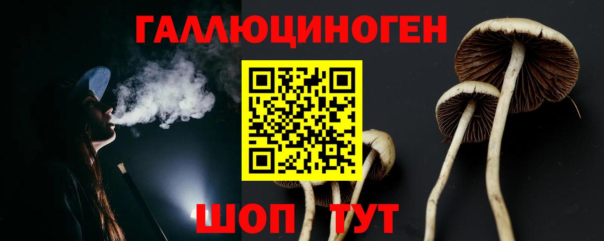 Псилоцибиновые грибы мухоморы Карталы